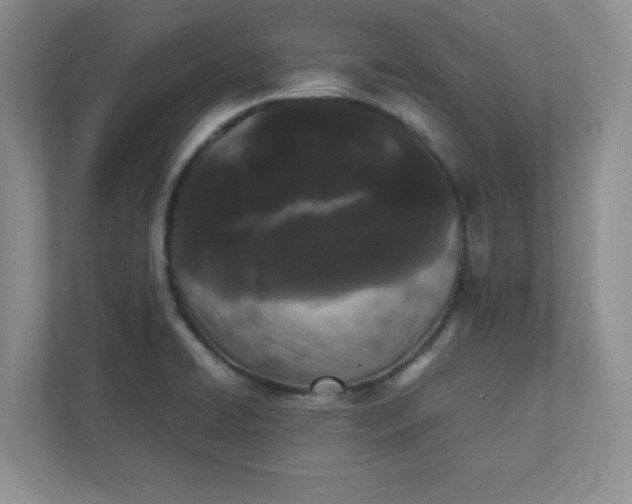 X0000112041422200908171502