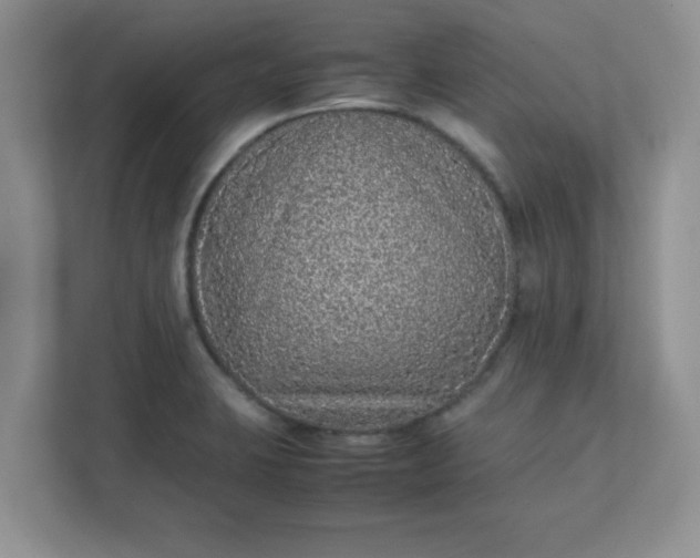 X0000112041423200908171502