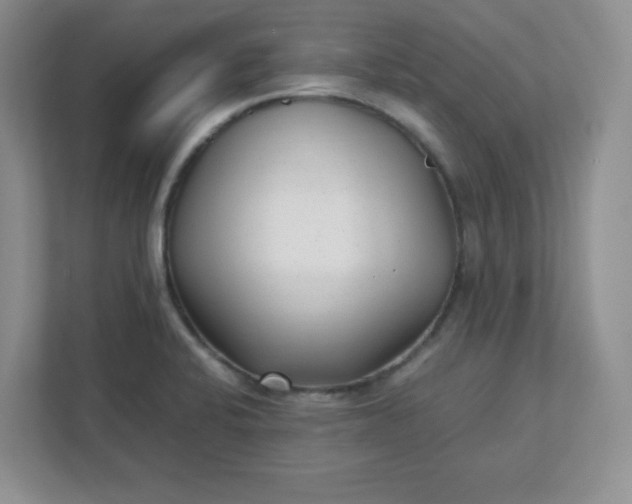 X0000112041424200908171502