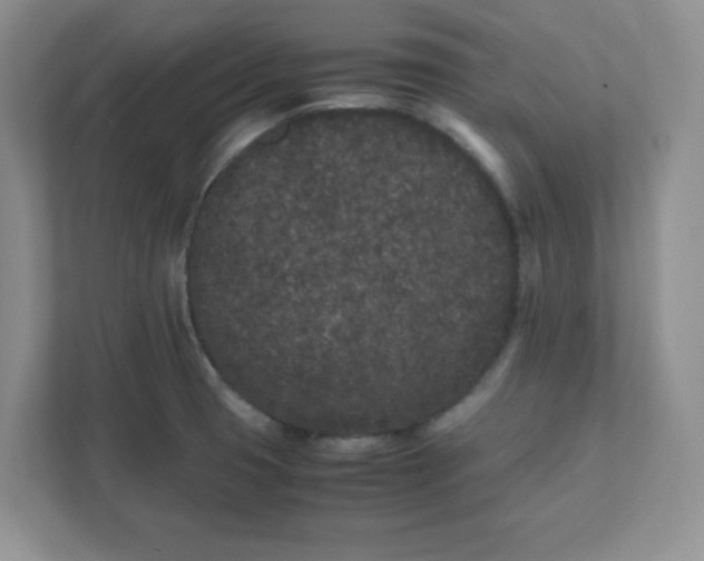 X0000112041425200908171502