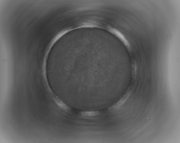 X0000112041427200908171502