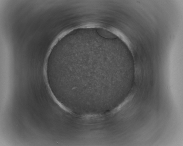 X0000112041429200908171502
