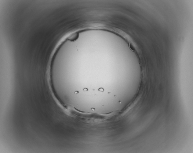 X0000112041432200908171502