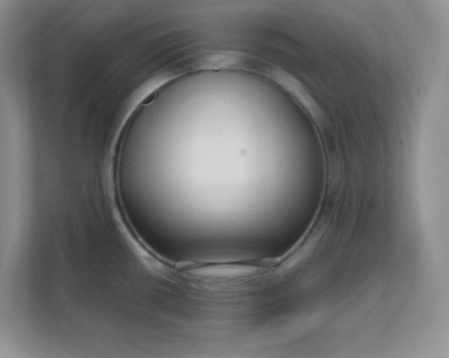 X0000112041434200908171502
