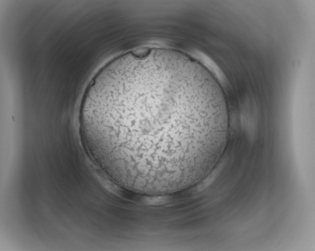 X0000112041435200908171502