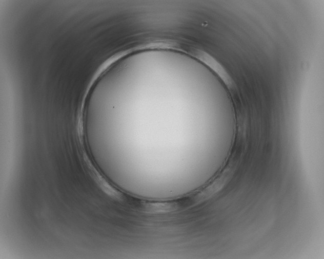 X0000112041436200908171502