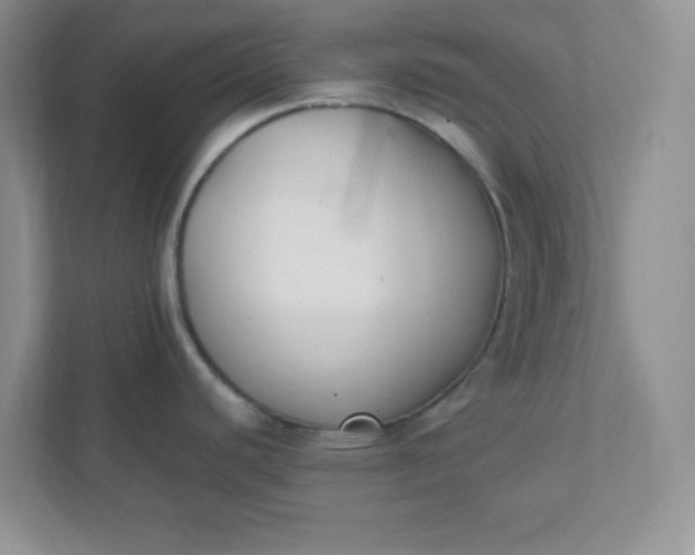X0000112041440200908171502
