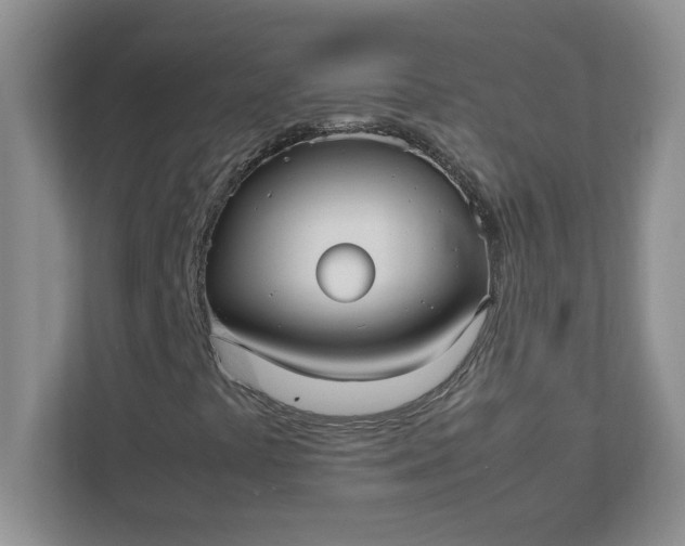 X0000112041441200908171501