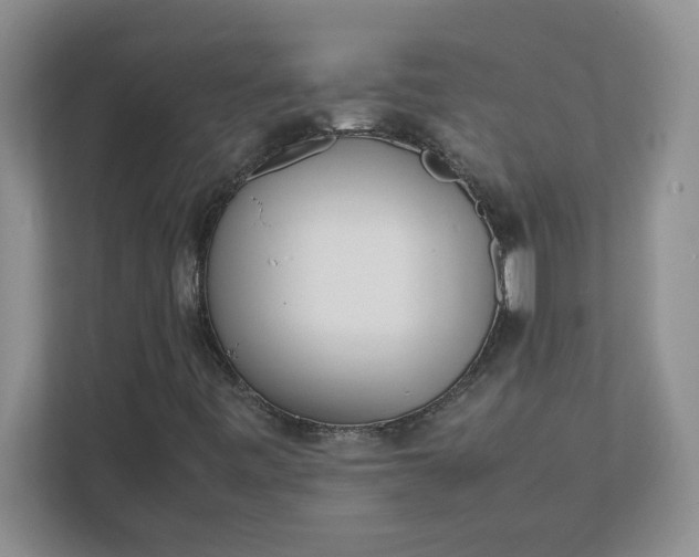 X0000112041443200908171501