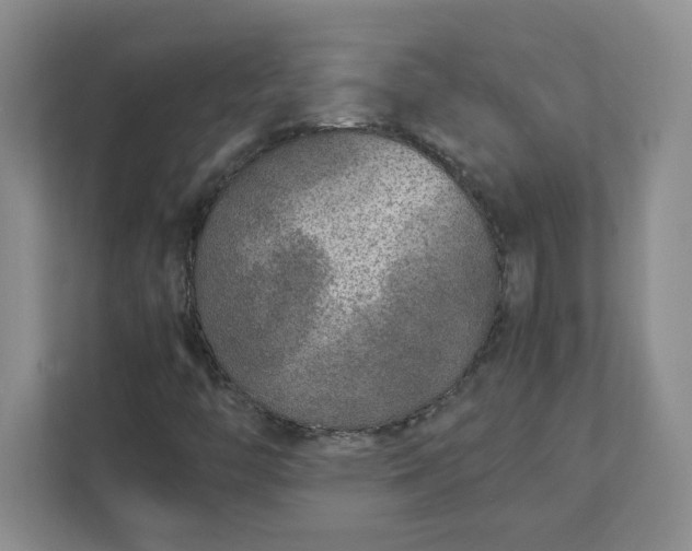 X0000112041446200908171501