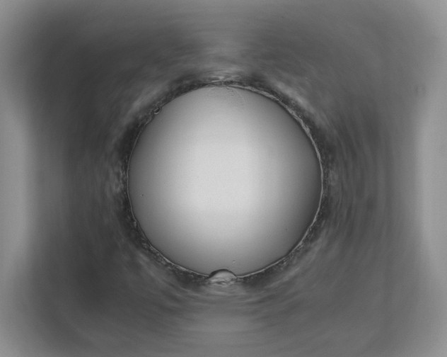X0000112041447200908171501