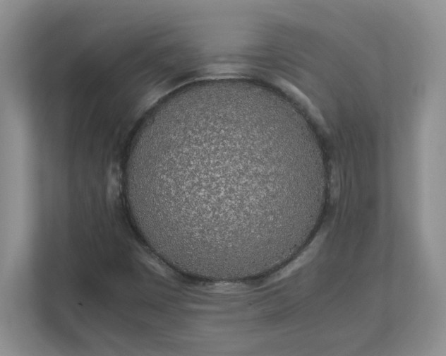 X0000112041449200908171501