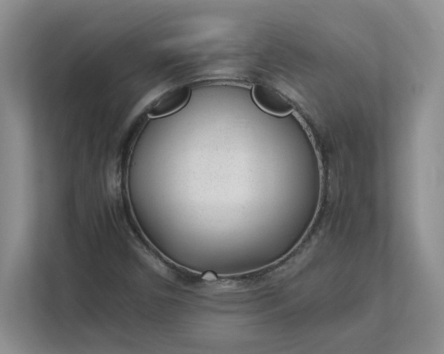 X0000112041450200908171501