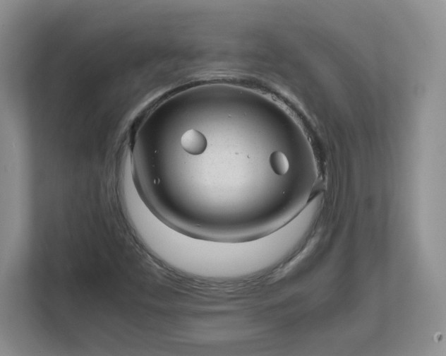X0000112041453200908171501