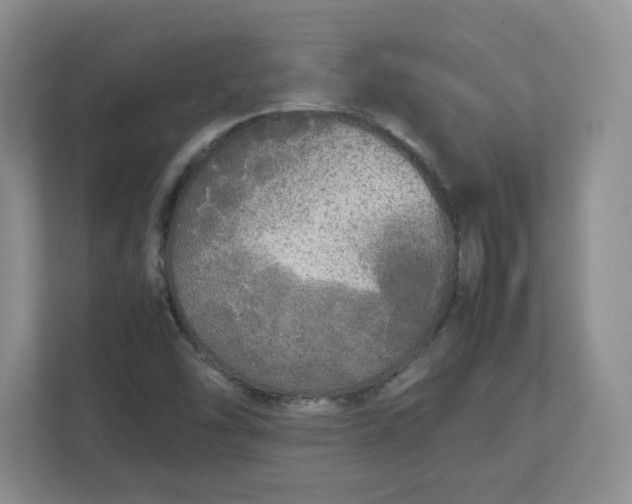 X0000112041454200908171501