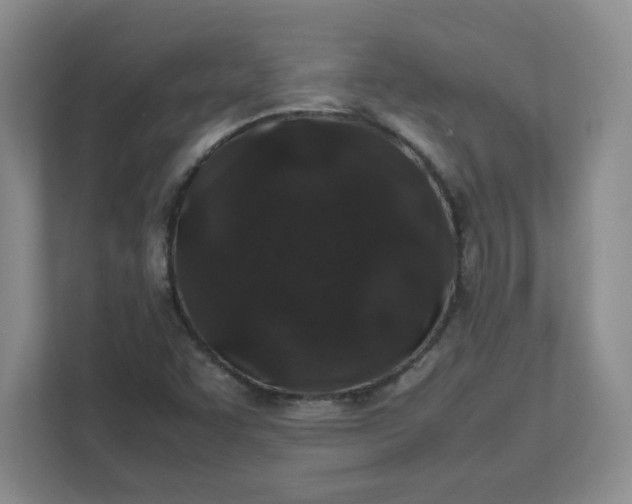 X0000112041455200908171501