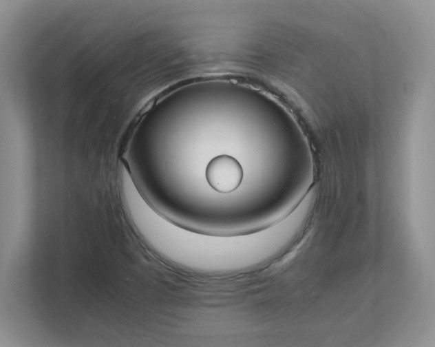 X0000112041457200908171501