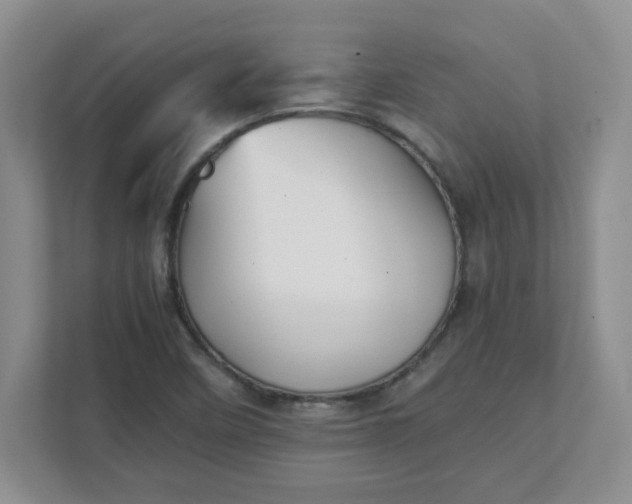 X0000112041458200908171501