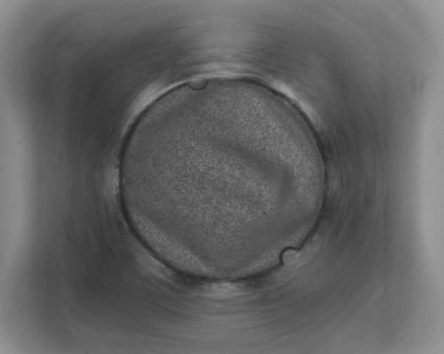 X0000112041459200908171501