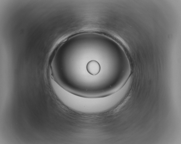 X0000112041461200908171501