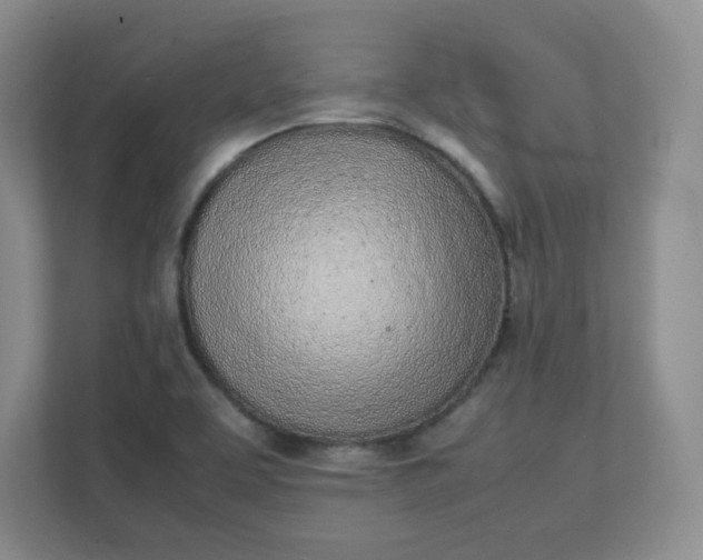X0000112041463200908171501