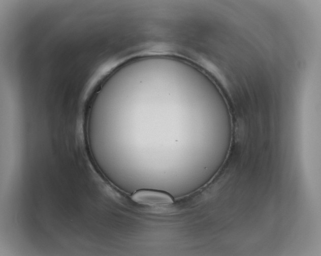X0000112041464200908171501