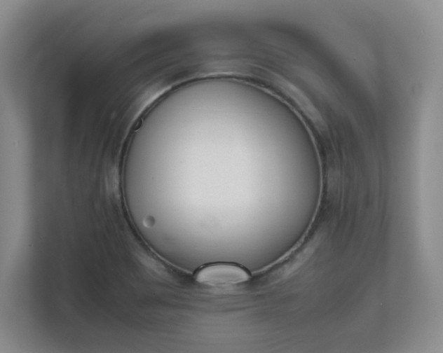 X0000112041465200908171501