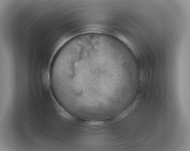 X0000112041466200908171501