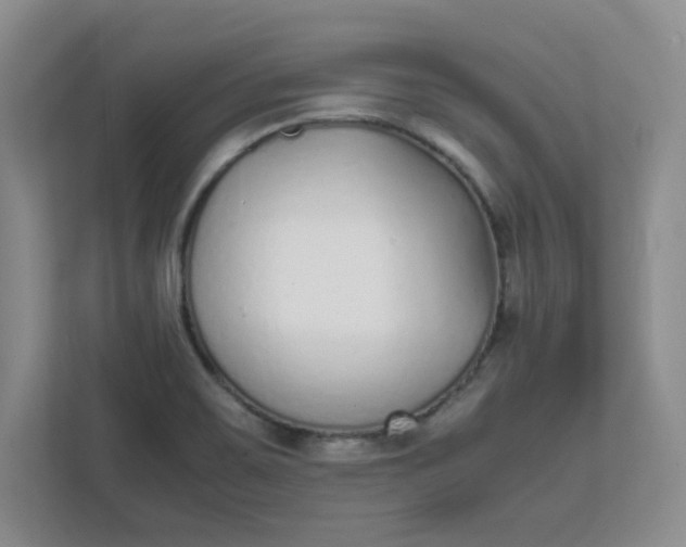 X0000112041467200908171501