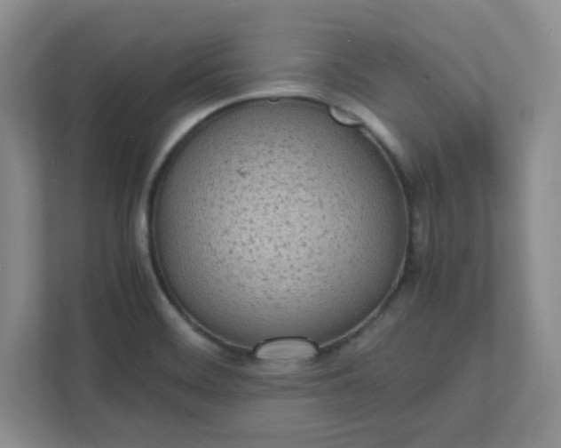 X0000112041468200908171501