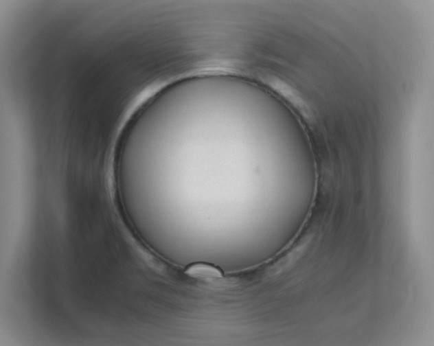 X0000112041469200908171501