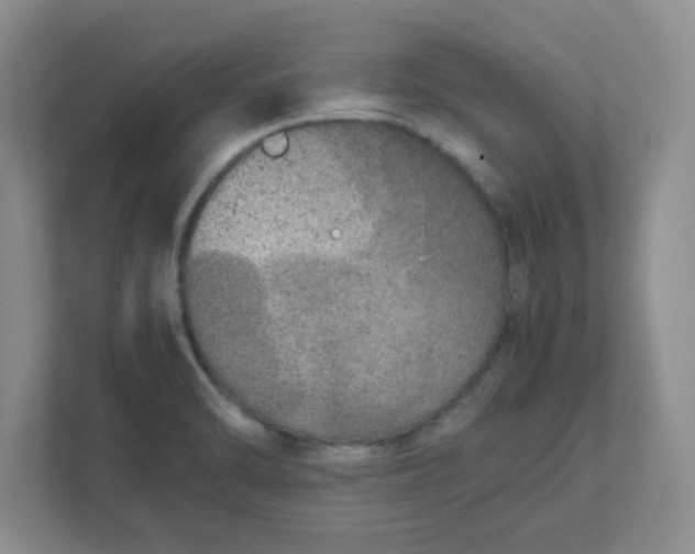X0000112041470200908171501
