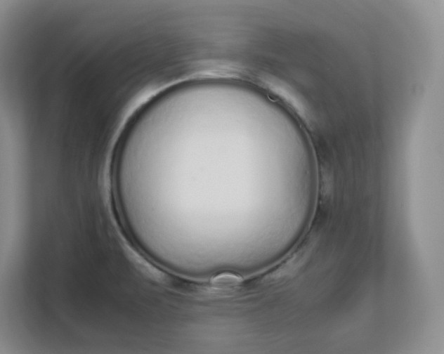 X0000112041471200908171501