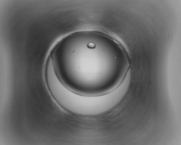 X0000112041472200908171501