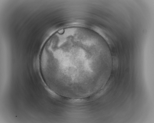 X0000112041474200908171501