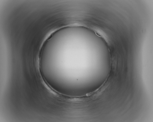 X0000112041476200908171501