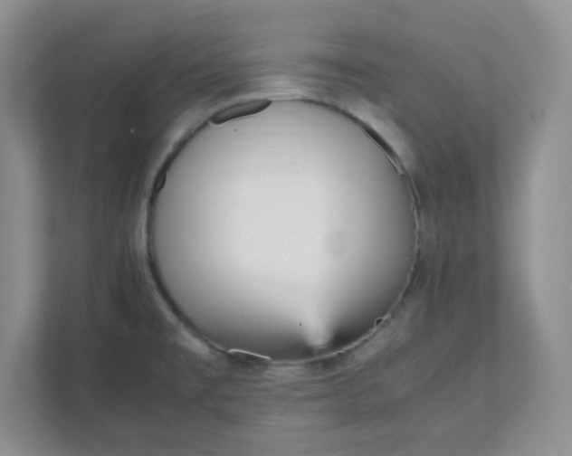 X0000112041477200908171501