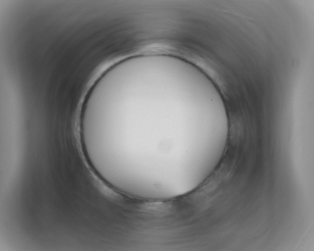 X0000112041478200908171501