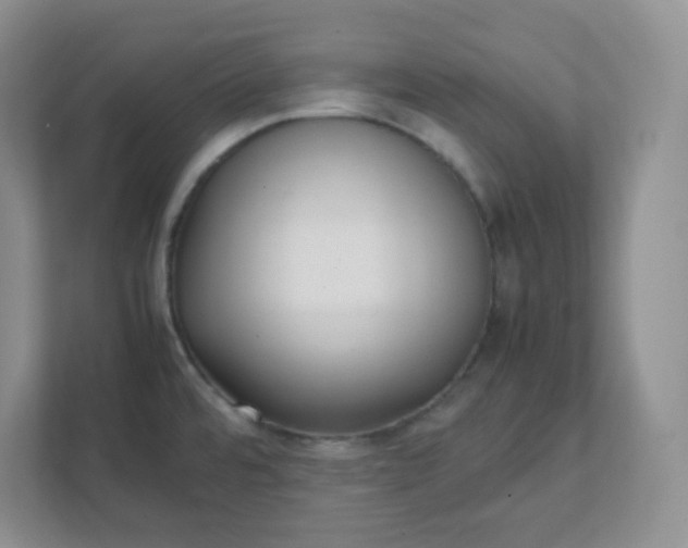 X0000112041480200908171501