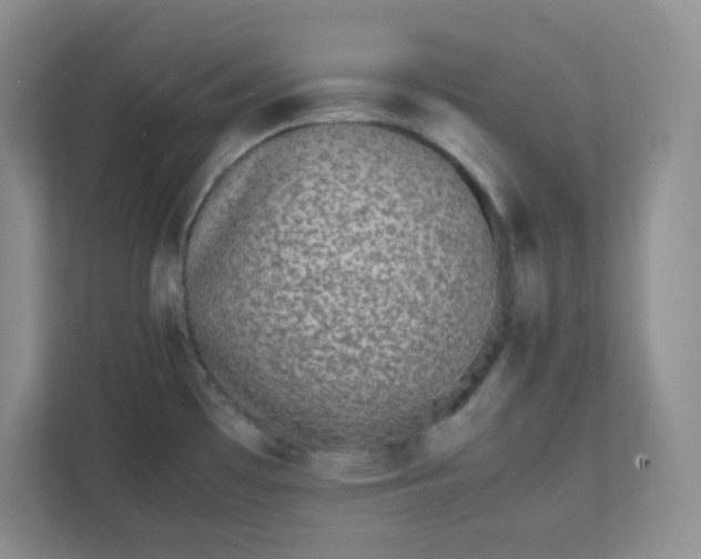 X0000112041481200908171501