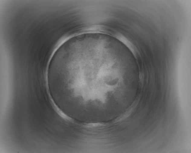 X0000112041482200908171501