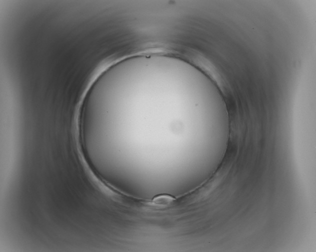 X0000112041483200908171501