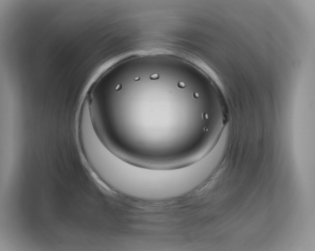 X0000112041485200908171501
