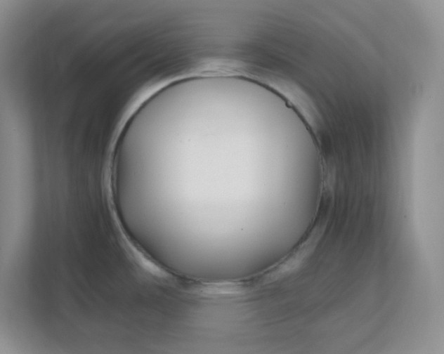 X0000112041486200908171501