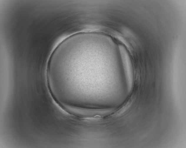 X0000112041487200908171501