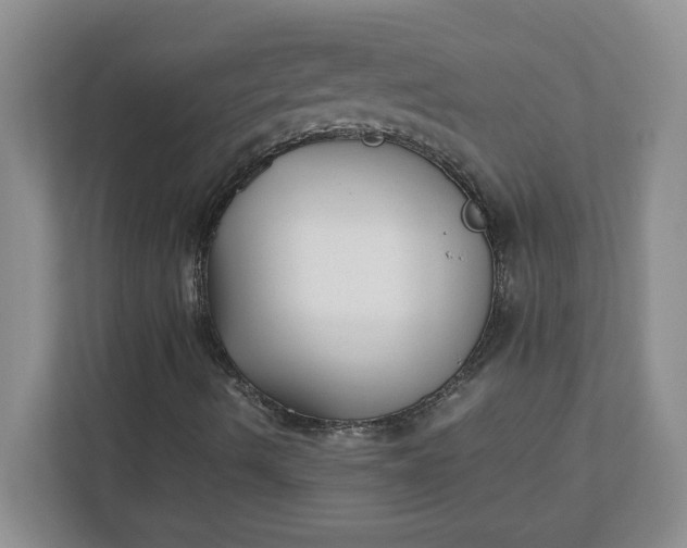 X0000112041490200908171500