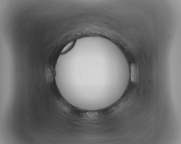 X0000112041491200908171500