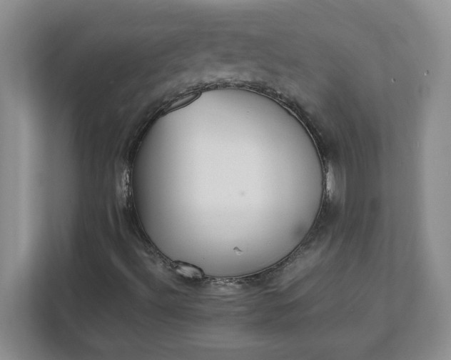 X0000112041492200908171500