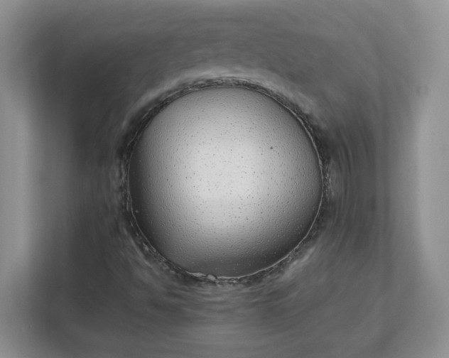 X0000112041494200908171500