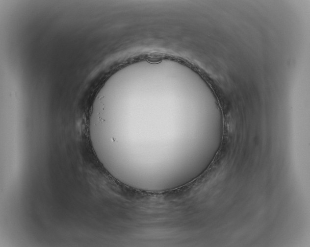 X0000112041495200908171500
